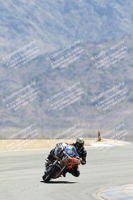 media/Apr-27-2025-BRL Bagger Racing League (Sun) [[7a5f00f0a5]]/5-Bagger GP-Pro Stock-Super Street Race/